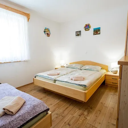 Lahinja & Kolpa River Apartments Metlika Extérieur photo