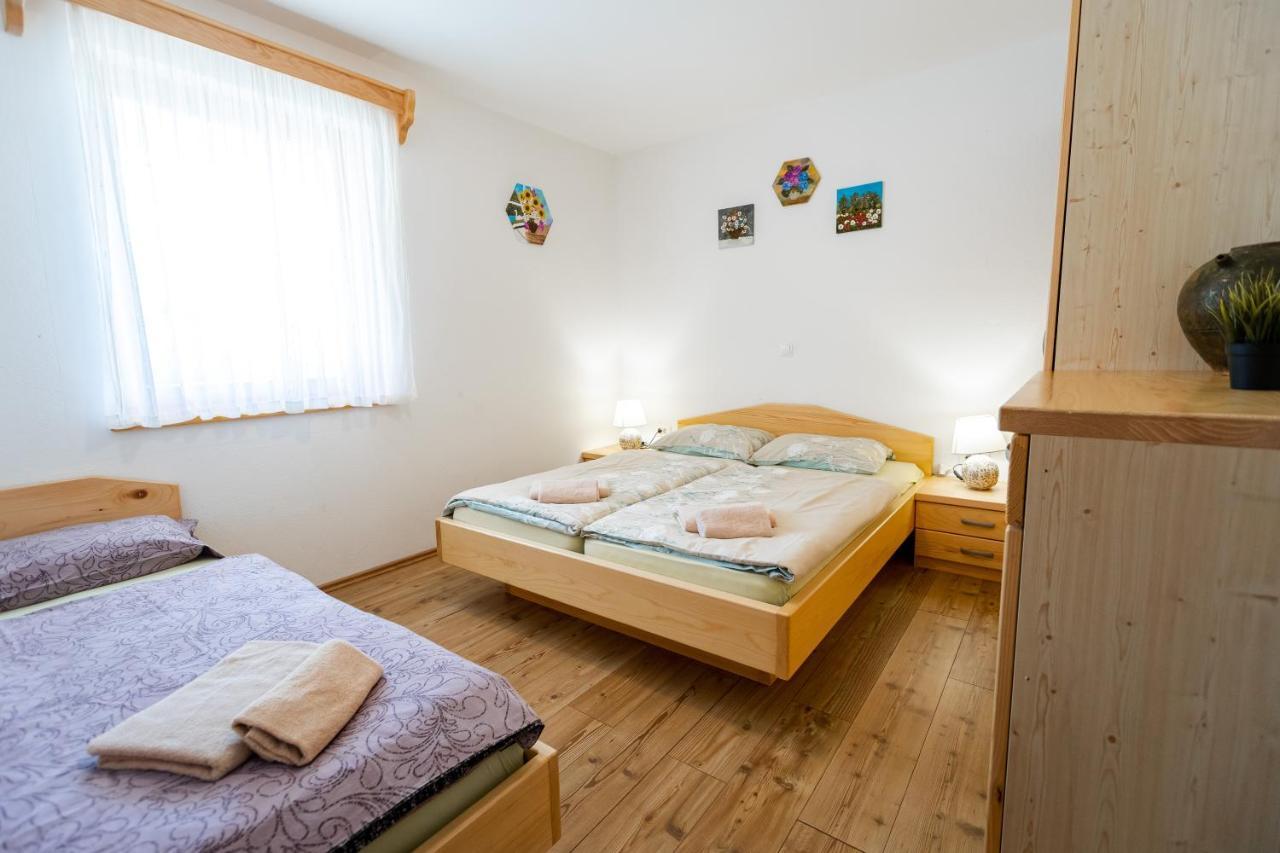 Lahinja & Kolpa River Apartment Metlika